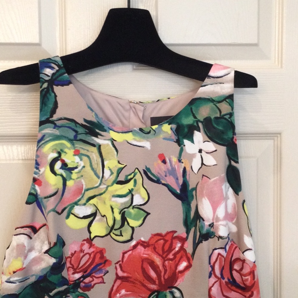 Stylish Floral Adrianna Papell Dress